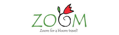 Zoom Travel Logo